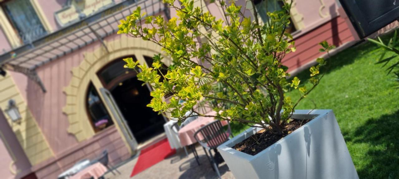 Hotel Villa Regina Margherita Rovigo Eksteriør bilde